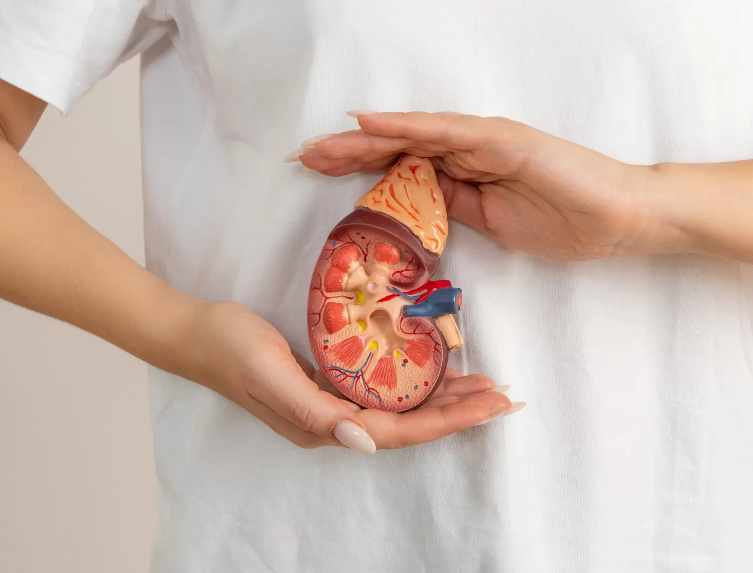 بیماری کلیوی