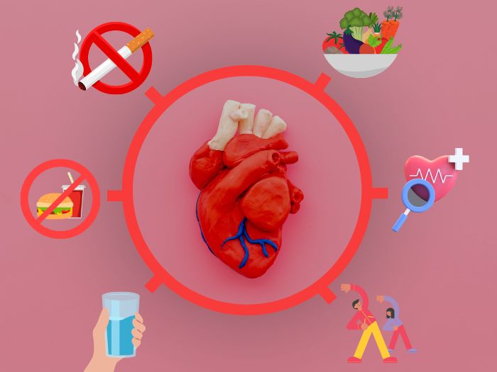 راه های حفظ سلامت قلب