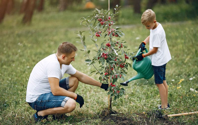 آموزش مسئولیت‌پذیری به فرزندتان