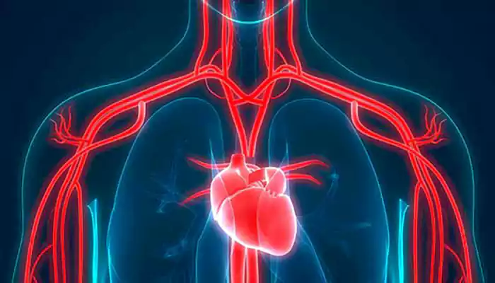 Tفت فشار خون تهدیدی برای سلامت قلب