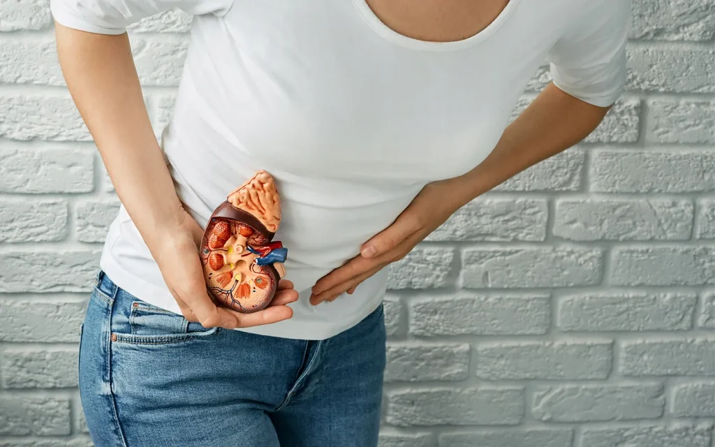 عفونت لگنچه کلیه (پیلونفریت) در زنان چیست؟